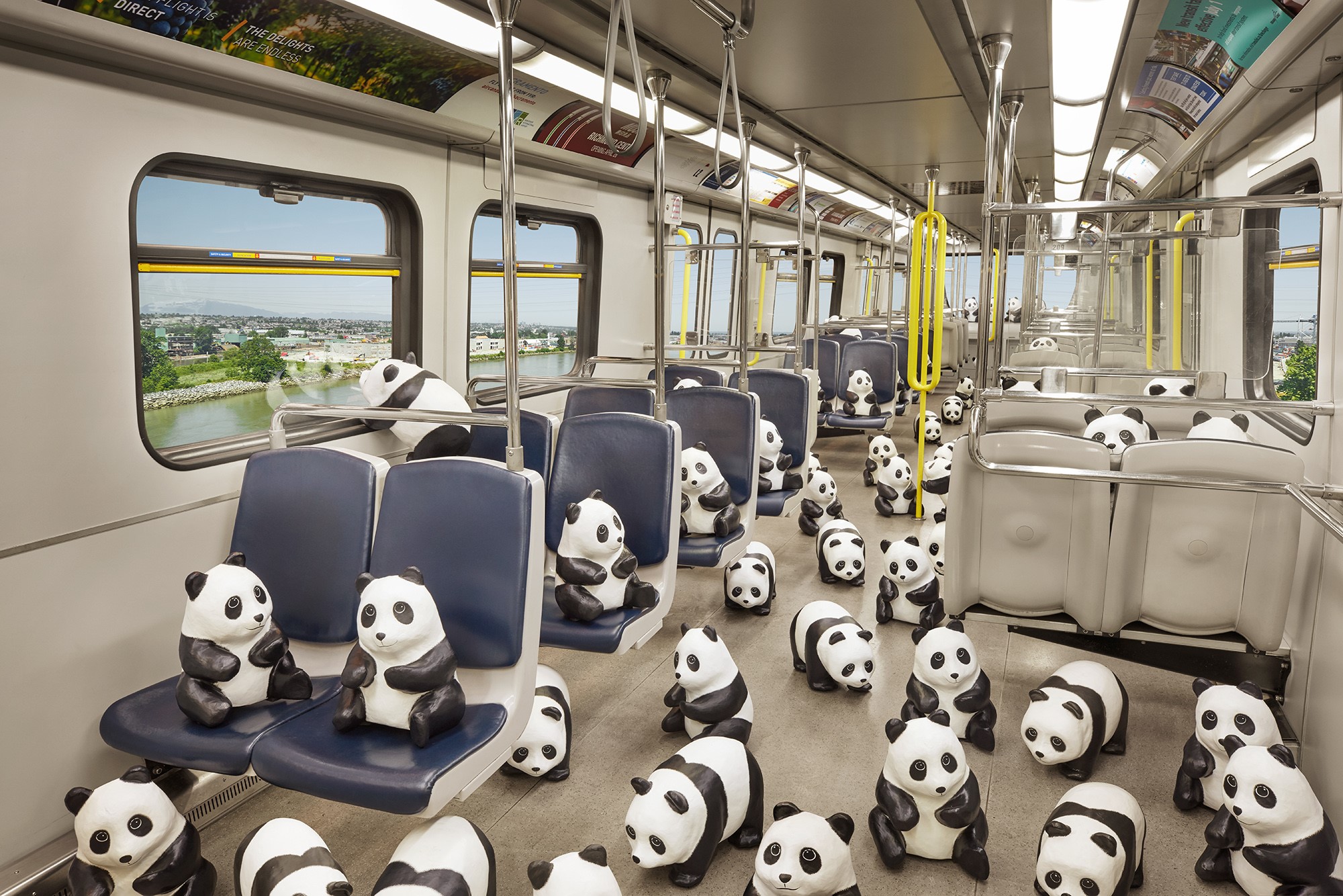 panda tour in canada