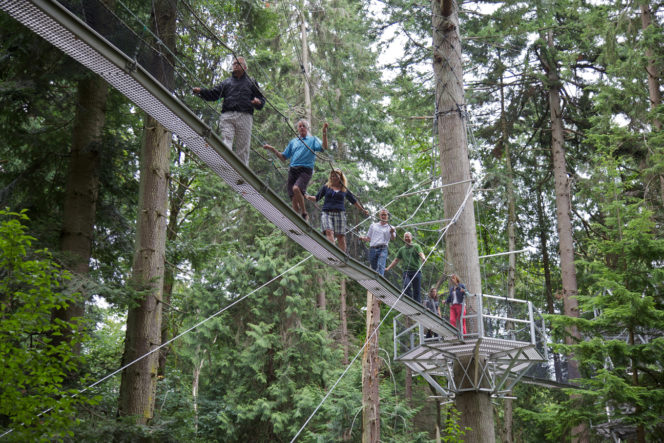 People walking on an elevated walkway through the forest at the UBC Botanical Garden's Greenhart Treewalk.