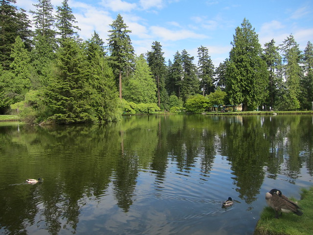 Lower Pond at Central Park in Burnaby, BC