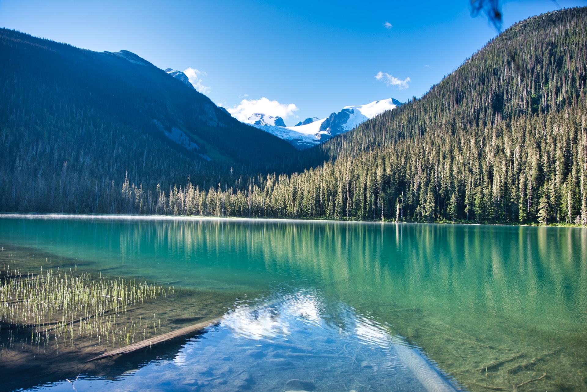 Many lakes. Сиардью горное озеро. Озеро вблизи. Шервуд горное озеро. Гейзеровое озеро горный Алтай.