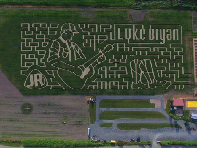 Greendale Acres corn maze in Chilliwack seen from above