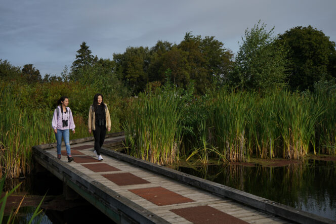 Two people walk across a boardwalk in Terra Nova Rural Park in Richmond