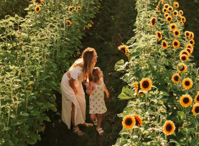 A woman and child stand between rows of sunflowers at Lakeland Flowers near Vancouver