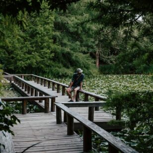 A person looks into a tranquil pond in VanDusen Botanical Garden in Vancouver.