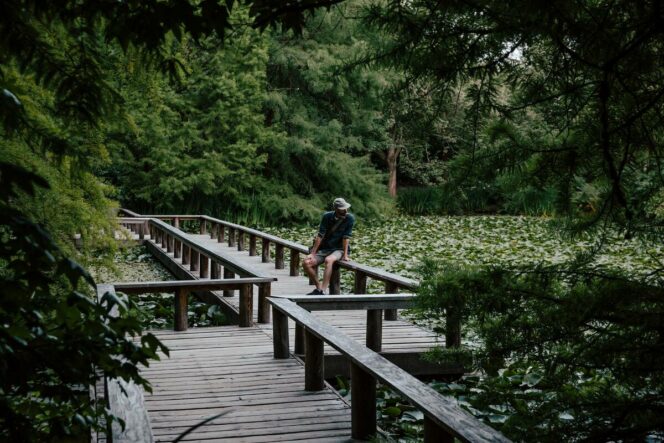 A person looks into a tranquil pond in VanDusen Botanical Garden in Vancouver. 