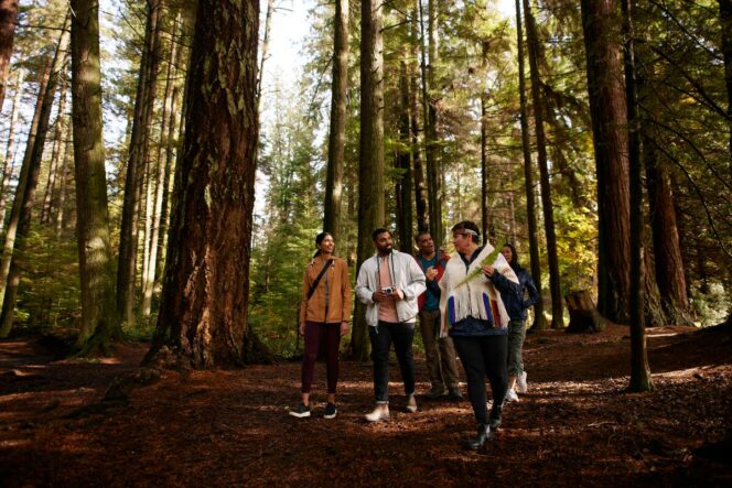 A group on a tour with Talaysay Tours in Stanley Park. 