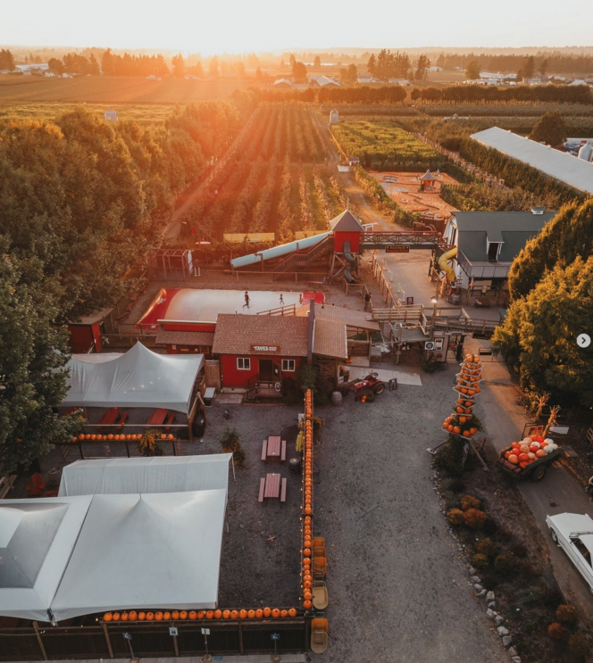 Taves Family Farm in Abbotsford from above