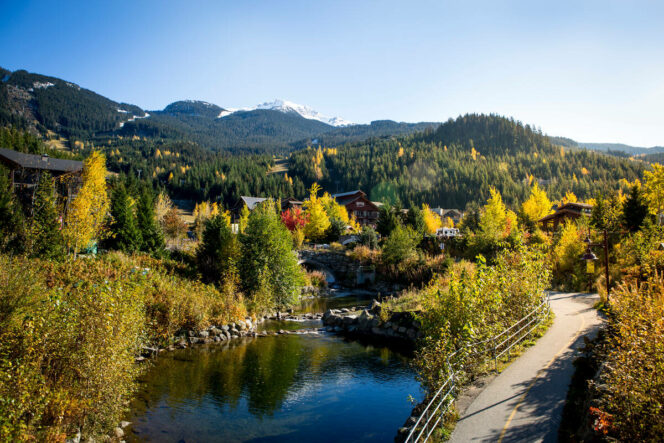 Fall colours along the Valley Trial in Whistler