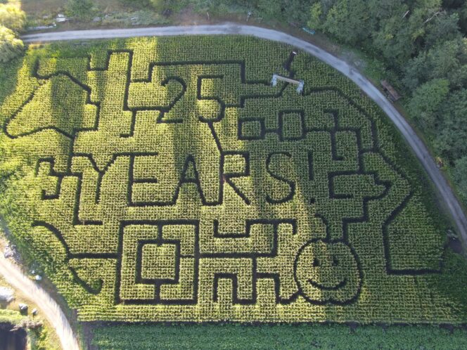 Eagle Acres 2024 corn maze in Langley seen from above.