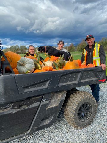 Pumpkins in a truck at Eagles Acres Pumpkin Patch in Langley