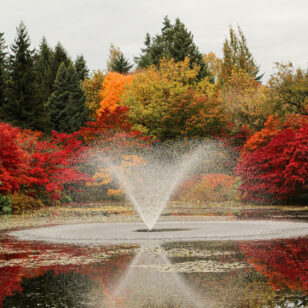 VanDusen Botanical Garden in fall.