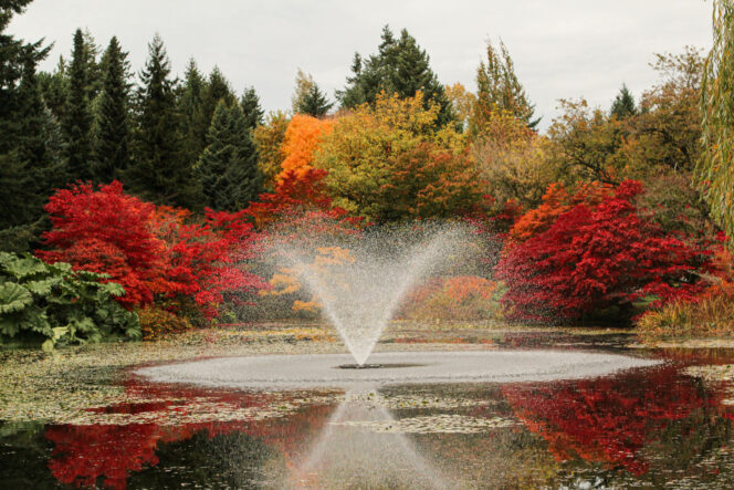 VanDusen Botanical Garden in fall. 