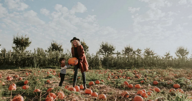 A woman holds a pumpkin in the Taves Family Farm pumpkin patch near Vancouver. 