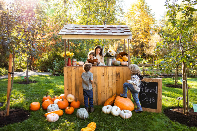 Harvest Days at VanDusen Botanical Garden.