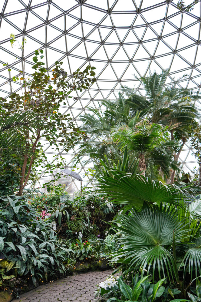 Path inside the Bloedel Conservatory