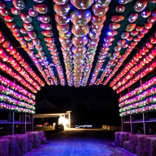 An arch made of hundreds of lit pumpkins at Pumpkins After Dark