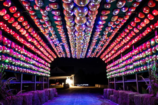 An arch made of hundreds of lit pumpkins at Pumpkins After Dark